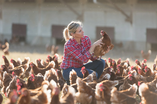 Птицеводство