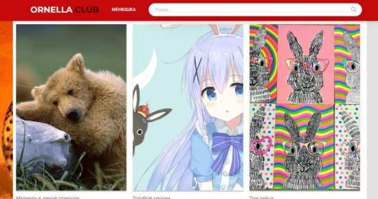 Изумительные картины, оживляющие мир животных