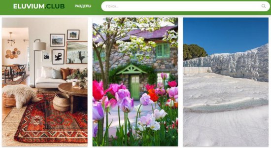 Огородные решения: Инновации для успешного садоводства