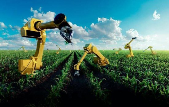 Гидропонные системы: Будущее сельского хозяйства